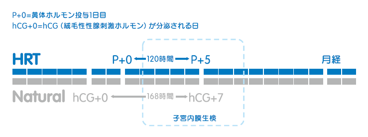 ERA検査の方法