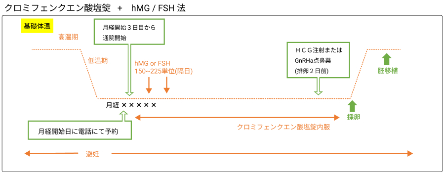 クロミフェンクエン酸塩錠＋hMG / FSH法図