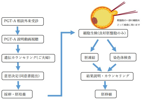 pgta流れ