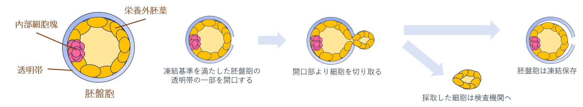 pgta流れ